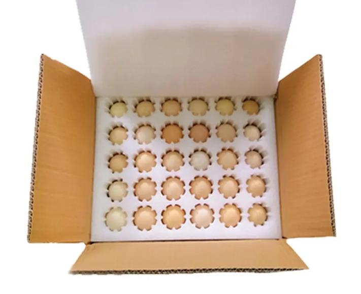 雞蛋珍珠棉內托